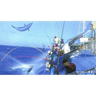 ふるさと納税 南国市 【訳ありしっぽ折れ】生鰹刺身325g×2パック(5人前) |  | 03