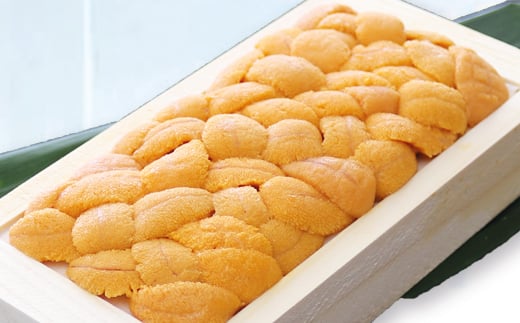 A-71049【年内配送可】 エゾバフンウニ(黄色～赤系)100～110g×1折[11月上旬以降発送]