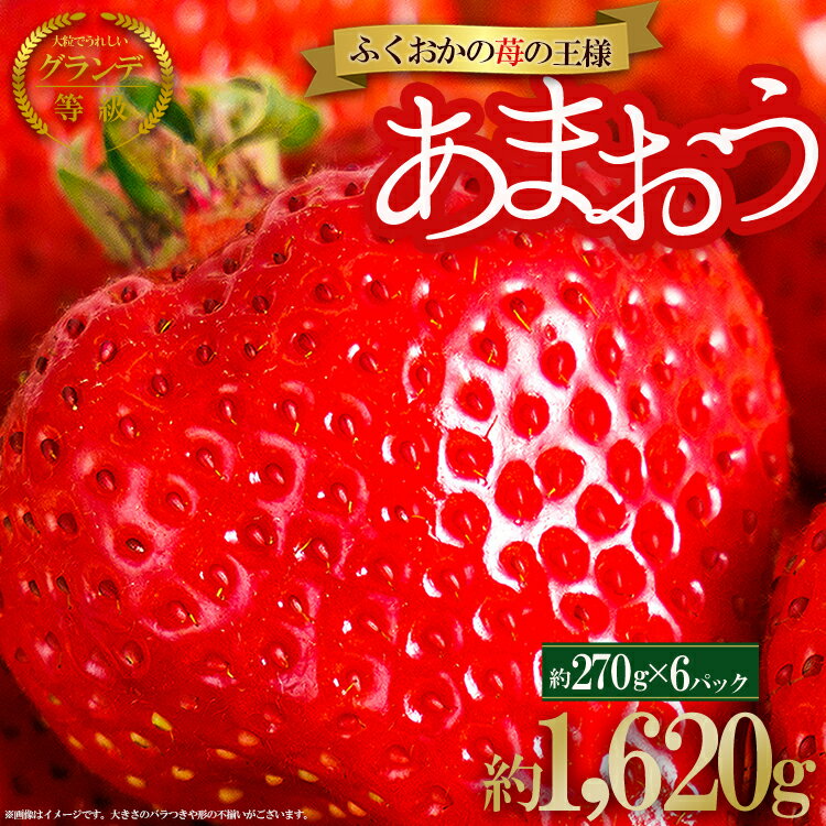 【ふるさと納税】【福岡県産 あまおう】 訳あり グランデ 約270 g 前後 × 6 P いちご イチゴ 苺 博多 デザート 果物 くだもの フルーツ ジャム にも ケーキ にも 先行予約 数量限定 福岡 2VB6