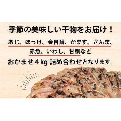 ふるさと納税 沼津市 訳あり 干物詰め合わせ おまかせ 4kg 沼津 すずひで |  | 03
