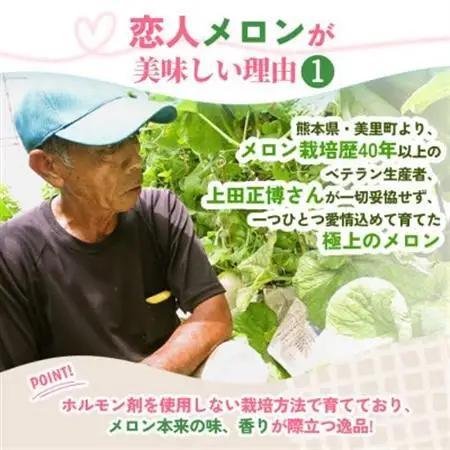 【熊本県産】甘い!赤肉 稀少な上田農園の「恋人メロン」 1.4kg以上(1玉)_高級 フルーツ 贈答 ギフト_【1680907】
