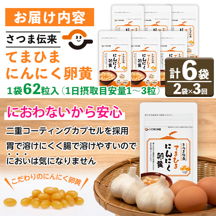 No.1278-A ＜定期便・全3回(隔月)＞てまひま にんにく卵黄(1袋 62粒入・2袋×3回) 鹿児島 日置市 ニンニク 健康食品 カプセル 安全安心 定期便 頒布会 サプリメント【てまひま堂】