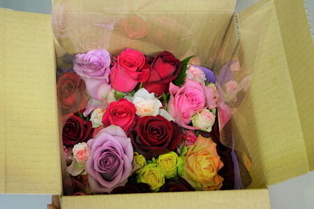 生産農家直送！大輪のバラ花束15本セット_AL03 ※沖縄・離島への配送不可 贈答用/プレゼント/ギフト/薔薇/産地直送/自分へのご褒美