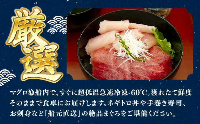 厳選 天然 マグロ 2種セット（計約650g） / 高知 魚介 海鮮 鮮魚 魚 マグロ まぐろ 鮪 新鮮 天然 刺身 寿司 セット 【株式会社Dorago】 [ATAM054]