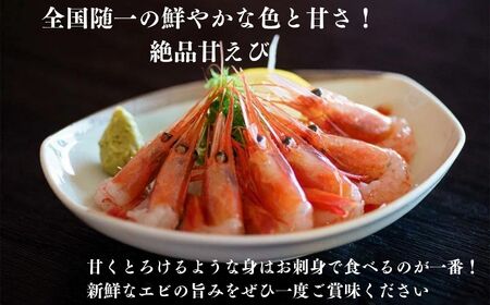 南蛮エビ 日本海直送鮮度抜群！糸魚川産『甘えび』250g×2パック  甘くとろける格別の味  際立つ甘さと鮮やかさ【プロも太鼓判！】
