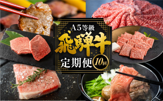 飛騨牛づくし定期便 10回 2人前 肉 定期便 飛騨牛 5等級 しゃぶしゃぶ すき焼き ステーキ 焼肉 お楽しみ定期便 10ヵ月 もも うで 食べ比べ 国産牛 国産 牛肉 肉 厳選 熟成 肉の沖村 飛騨市