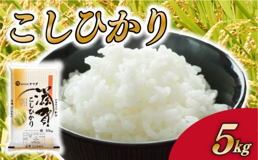 コシヒカリ 5kg 白米 こしひかり