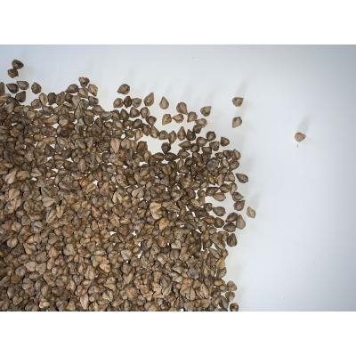 ふるさと納税 新得町 新得そばの実3kg A-2501 |  | 02