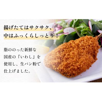 ふるさと納税 石巻市 【訳あり】いわしフライ 20枚入 冷凍 イワシ 鰯 フライ 唐揚げ |  | 01