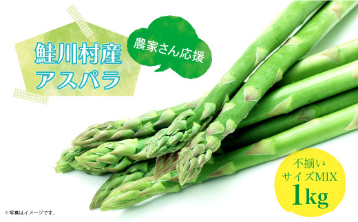 
                  農家さん応援！！鮭川村産 アスパラガス 不揃いサイズ MIX 1kg
                