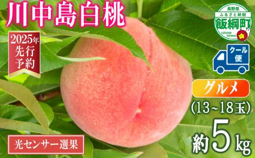 【 2025年 先行予約 】 桃 川中島白桃 5kg グルメ 光センサー選別品 糖度保証 【 予約 果物 くだもの もも モモ フルーツ 旬 長野 信州 川中島 40500円 】 沖縄県への配送不可 2025年8月下旬頃から2025年9月上旬頃まで順次発送予定 日時指定不可 令和7年度出荷分 長野県 飯綱町 [0056]