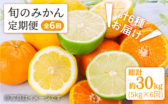 
                  みかん 【11月から毎月届く♪6回定期便】＜中尾果樹園＞ [CEL005] 長崎県 西海市 みかん ミカン 柑橘 フルーツ 西海 オレンジ 果物 ミカン 贈答 ギフト フルーツ 果実 甘い あまい デザート 新鮮 産地直送 くだもの 
                