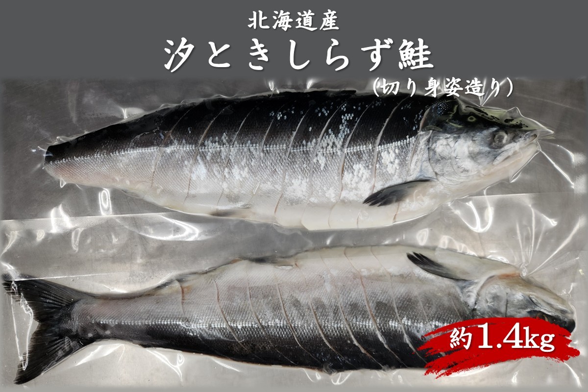 
            北海道産 汐ときしらず鮭 約1.4kg 切り身姿造り ( 鮭 ときしらず トキシラズ 時鮭 時不知鮭 焼き鮭 ギフト 贈り物 )【017-0022】
          