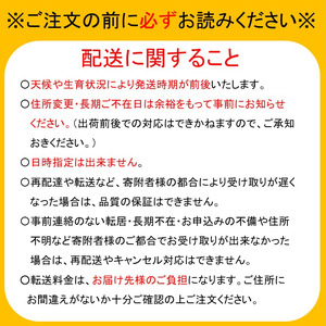 船橋産フルーツ定期便（3品目）　梨 豊水 シャインマスカット イチゴ エコチョク