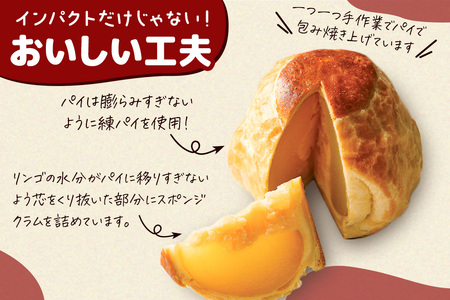 アップルパイ 気になるリンゴ 3個入 ラグノオささき