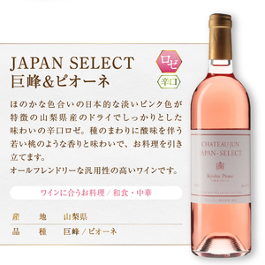 ワイン シャトージュン【JAPAN SELECT】巨峰＆ピオーネ デラウェア 2本セット（MG）B12-805