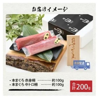 ふるさと納税 福井市 【市場直送】高鮮度急速冷凍 国産本まぐろ赤身&中トロ2種セット 各約100g(柵) 合計約200g |  | 01