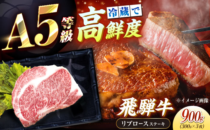 【チルド（冷蔵）発送！】 「飛騨牛」 A5等級 リブロース ステーキ用 300g×3枚 / 牛肉 焼肉 鉄板焼き 網焼き BBQ/ 恵那市 / 東美濃農業協同組合 [AUFX022]