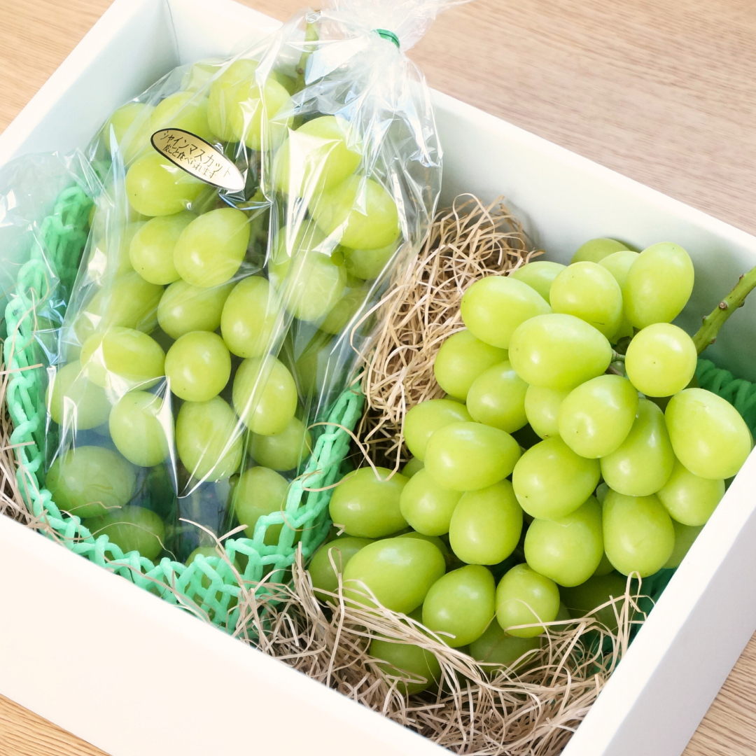 《 先行予約 》 シャインマスカット 2～3房 ( 約 1.5kg )  贈答用 【2026年8月下旬頃発送開始】 ( 共通返礼品：下妻市 )フルーツ 果物 マスカット ぶどう 葡萄 ブドウ 旬 国産