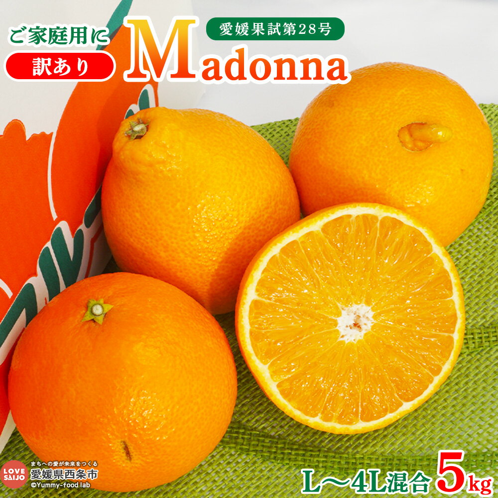 【ふるさと納税】予約受付＜ご家庭用 訳あり Madonna 愛媛果試第28号 約5kg（L〜4Lサイズ混合）＞※2025年12月上旬～2026年1月末迄に順次出荷 果物 くだもの フルーツ みかん ミカン 柑橘 紅まどんな マドンナ 自宅用 不揃い ワケアリ 鴻上農園 愛媛県 西条市【常温】