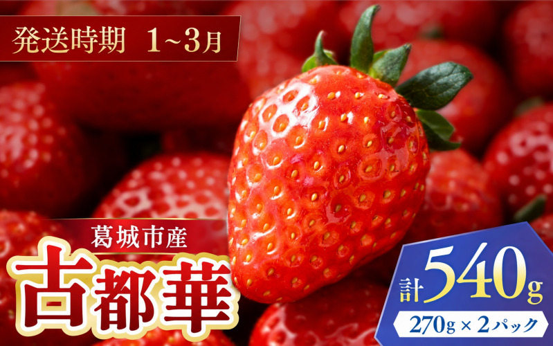1月~3月以降発送　葛城市産古都華4パック【ichi0002】