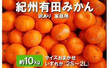 【先行予約】【訳あり・家庭用】紀州有田みかん 約10kg（2S～2Lサイズ おまかせ）和歌山県産
