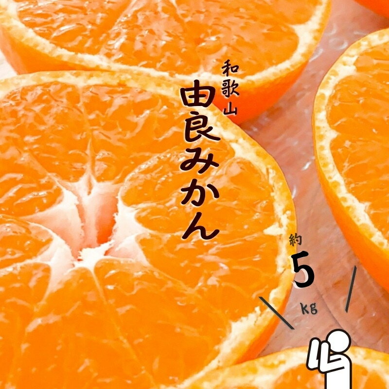 【ふるさと納税】和歌山由良みかん　秀品　約5kg　サイズおまかせ(L・М・S) ミカン 柑橘 みかん 和歌山