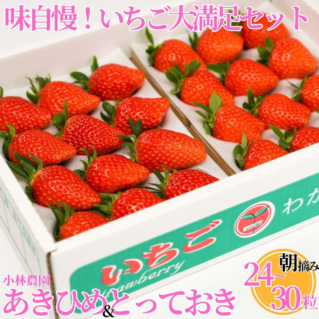 いちご 苺 イチゴ 章姫 あきひめ とっておき 味自慢 大満足 セット 大粒 小林農園 | 24M