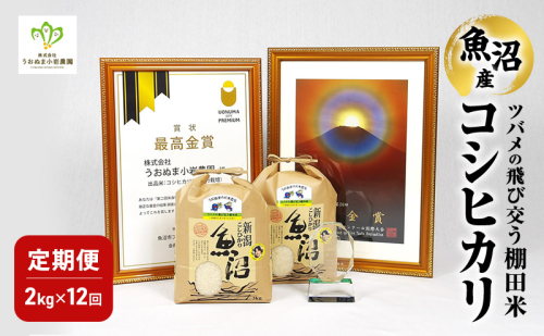 精米 ツバメの飛び交う棚田米 2kg×1袋 12ヵ月連続お届け　米 こめ お米 コメ こしひかり コシヒカリ 精米 新潟県 魚沼市 魚沼