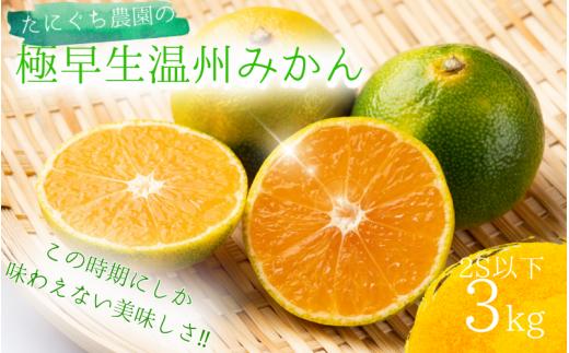 【先行予約】2S以下 たにぐち農園の極早生温州みかん(マルチ栽培) 3kg【2026年9月下旬～10月下旬に順次発送】 / ご家庭用 家庭用 不揃い 極早生 早生 温州 みかん 蜜柑 フルーツ