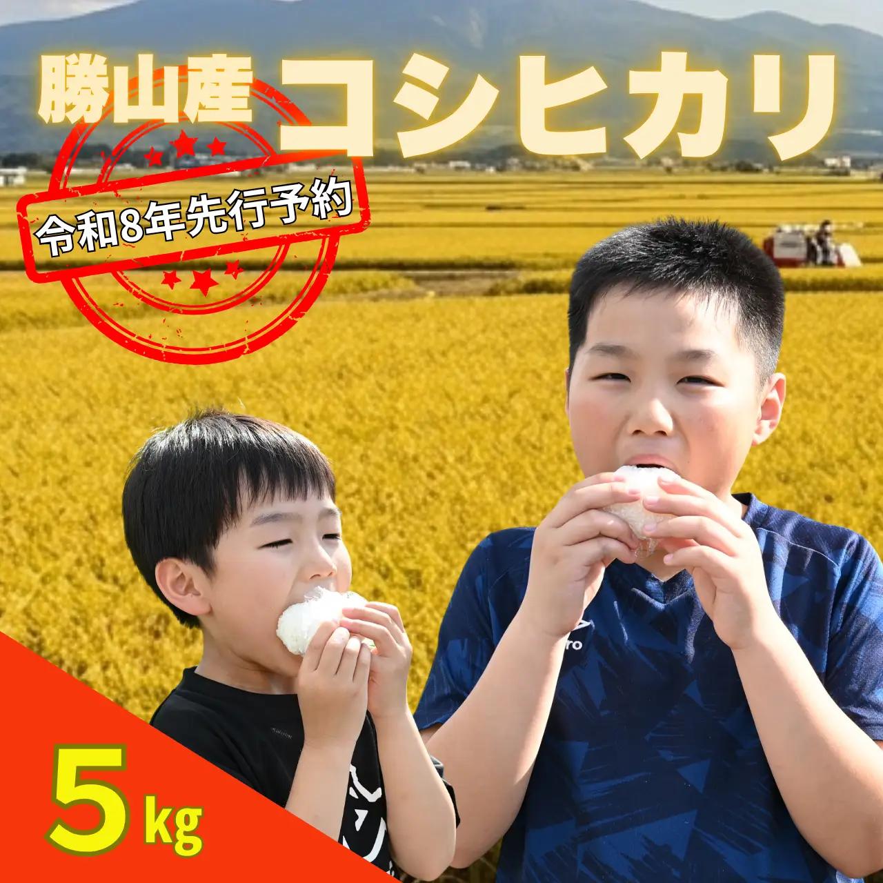 コシヒカリ 精米 5kg 令和8年産 コシヒカリ