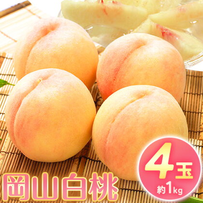 【2026年先行予約】桃 もも 岡山白桃 4玉 約1kg 岡山県産 環山堂株式会社《2026年7月上旬-8月上旬頃より発送予定》岡山県 浅口市 白桃 果物 フルーツ 送料無料【配送不可地域あり】