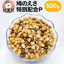 【ふるさと納税】鳩のえさ 特別配合P 500g×1袋 サイトウ・コーポレーション 飼料