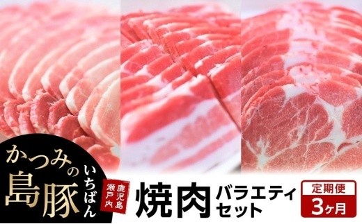 
                  【定期便3か月】かつみの島豚いちばん焼肉バラエティセット 750g（250g×3パック）|焼肉セット 豚肉 3人 4人 5人 BBQ 焼肉 焼き肉
                