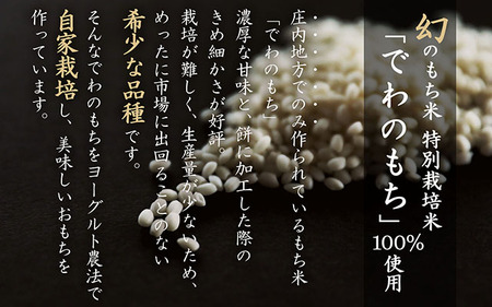 ＜6月中旬発送＞丸もち6か月定期便！ 杵つき餅 380g×3袋（入金期限：2025.5.25）