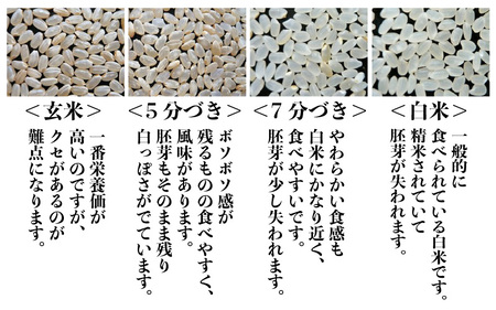 令和8年産・新米 あきさかり 5kg 福井県産米 (玄米) 2026年9月下旬発送 [A-0266_04]