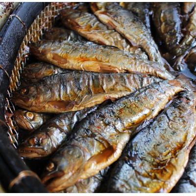 ふるさと納税 美作市 渓流の女王　アマゴ(冷凍24尾入り) |  | 03