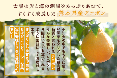 期間限定 デコポン缶詰24缶入り (12缶×2箱)《60日以内に出荷予定(土日祝除く)》熊本県 葦北郡 津奈木町 あしきた農業協同組合 JAあしきた 柑橘 デコポン フルーツ 果物 缶詰 送料無料