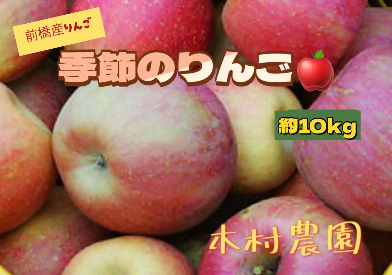 季節のりんご　10kg