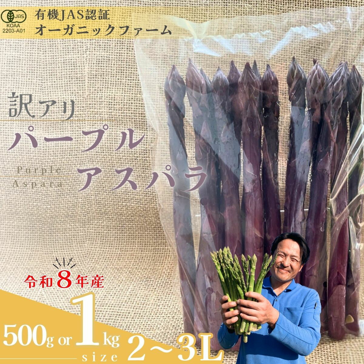 【ふるさと納税】【先行予約】【訳あり】オーガニック パープルアスパラガス 2L～3L 500g or 1kg | オーガニックアスパラ 有機JAS認証 パープルアスパラガス 2L～3Lサイズ 新鮮野菜 産地直送 500g 1kg 春野菜 甘い 香り豊か ギフト 旬の野菜 お取り寄せ 訳あり 山口県 宇部市
