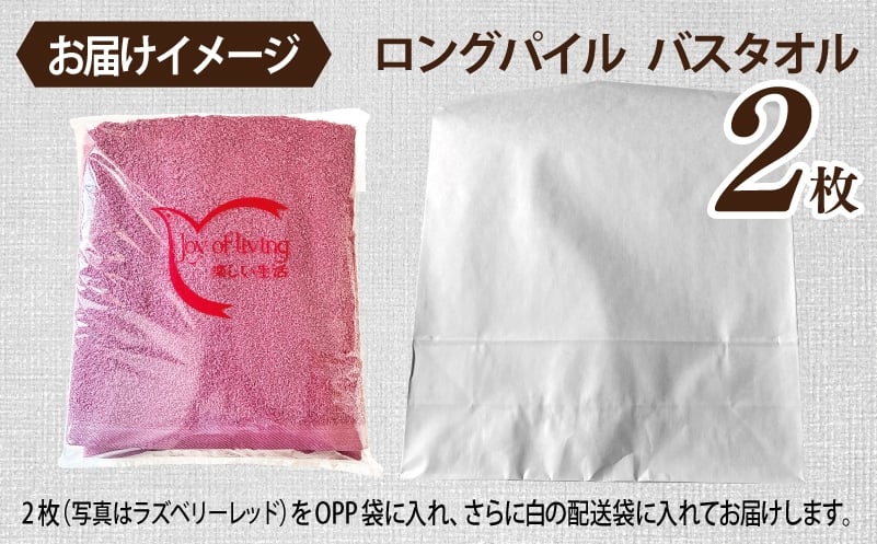 【スピード発送】ロングパイルバスタオル2枚セット(スレイトグレー) 泉州タオル 015B572