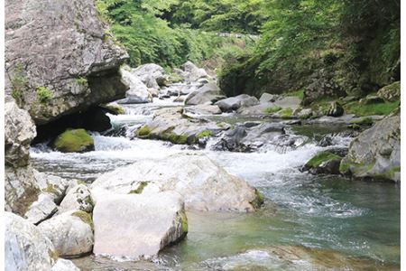 【先行受付：令和6年版】【椎葉での渓流釣りを楽しむ】遊漁許可証(年券) 耳川水系【釣り好き必見】