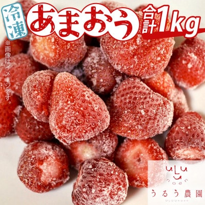 【先行受付】冷凍あまおう1kg(岡垣町)【配送不可地域：離島】