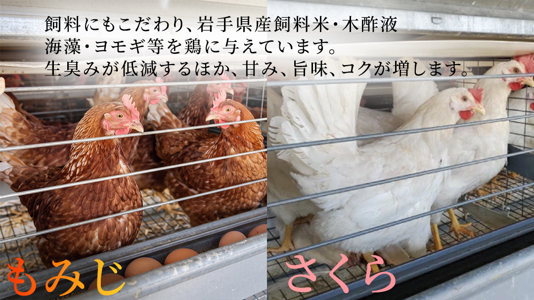 純国産鶏【さくらともみじ】純たまご30個 (破損保証5個含む)【3ヶ月連続お届け】 (AJ032)