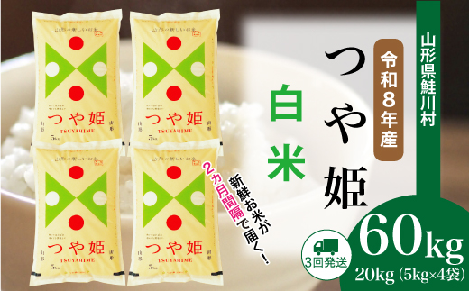 ＜令和8年産米＞ 鮭川村 特別栽培米 つや姫 【白米】 定期便 60kg （20kg×２ヶ月間隔で3回お届け）＜配送時期選べます＞