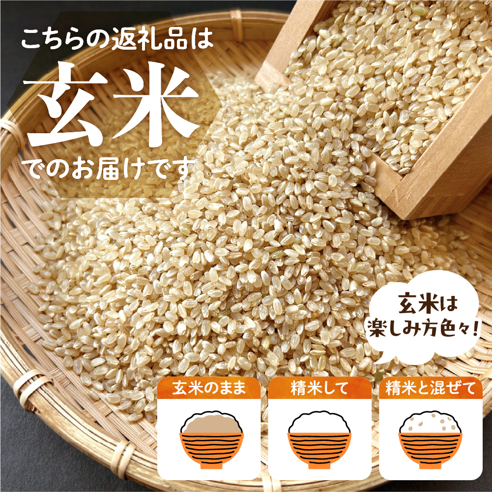 2026年5月発送【令和7年度産】群馬県千代田町産 あさひの夢 10kg(5kg×2袋) (玄米) 群馬県 千代田町ch049-010-05_イメージ3