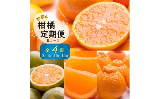 
                  季節の柑橘定期便B【偶数月・計4回】【和歌山県有田】_ZH7024
                
