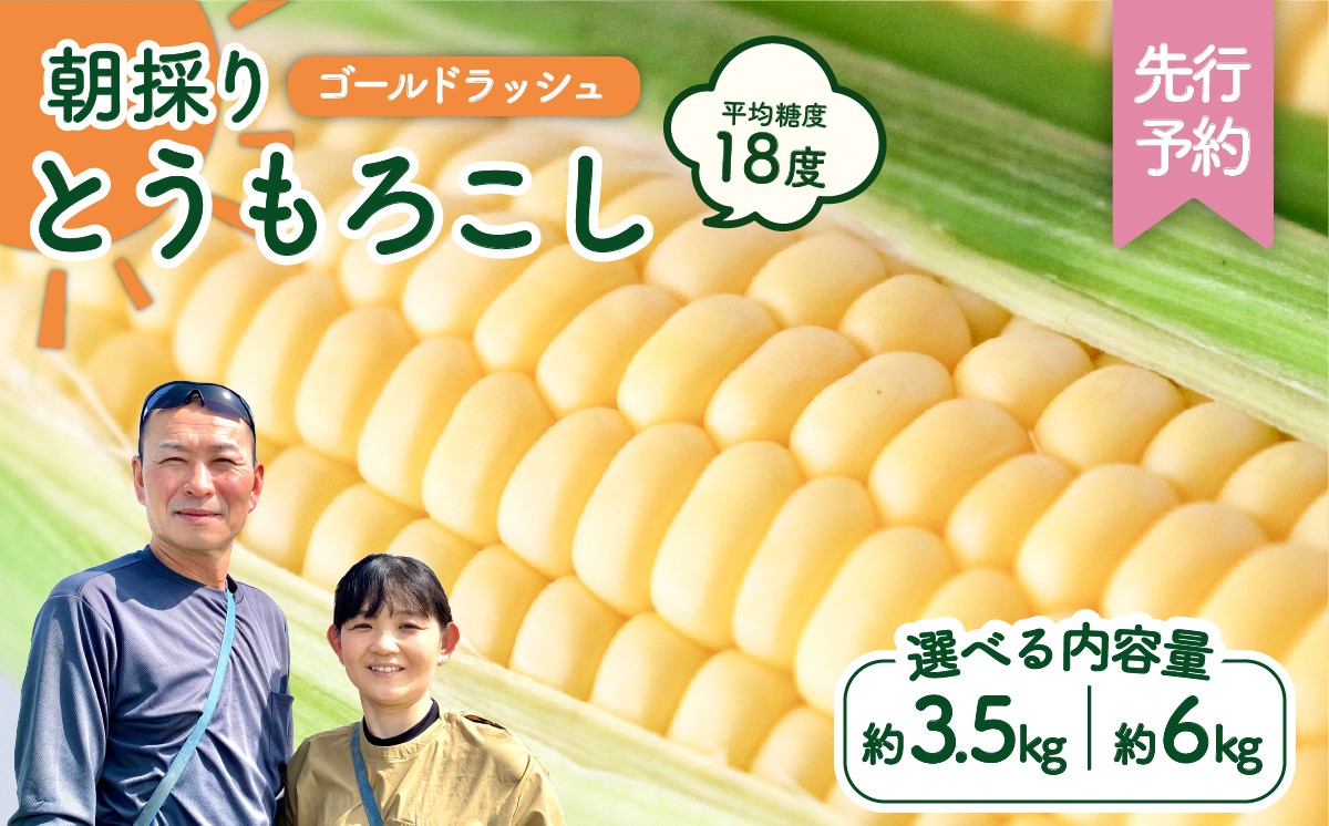 
            【先行予約 2026年6月下旬以降発送 】 【 令和8年産 】 朝採り とうもろこし （ ゴールドラッシュ ） 【 選べる内容量 】 トウモロコシ 朝採り 甘い 新鮮 6kg 3.5kg スイートコーン コーン 野菜 極甘 岩田さん 2026 [AX019ya00][SZRY]
          