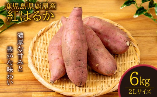 鹿児島県鹿屋産 紅はるか 生芋 2Lサイズ 6kg　KN021-043-02