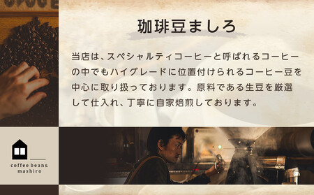 リキッドアイスコーヒー　１２本　(無糖　1000ml　紙パック）スペシャルティコーヒー